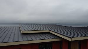 Best Asphalt Shingle Roofing  in Del Norte, CO